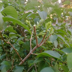 IMG_20250528_201729738827a013aa168c