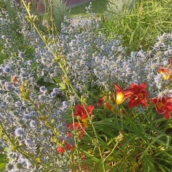 IMG_20250718_185839a12cd4ea9bf77e0e