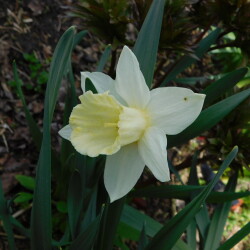 DSCN8720ef634b8f1796aa33