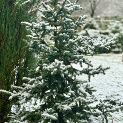 IMG_09934bd2888894a933f7