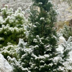 IMG_0994ada014e61abe0b6c