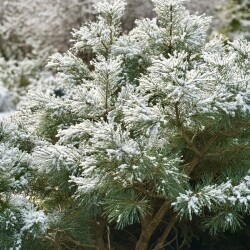 IMG_09979989e15ac7c0079a