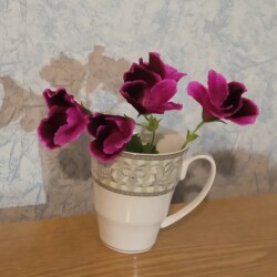 pelar-23-novbabbaa7298153e7a