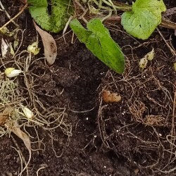 IMG_20251123_151743K62c878b57b7ed2ad