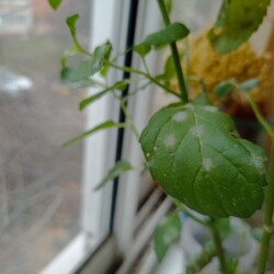 IMG_20251110_15115023b14684bcb8b5f3