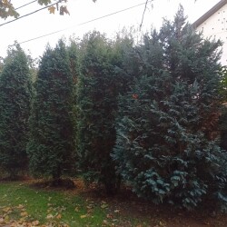 IMG_20241017_1705101d59f5dab8e0788e