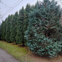 IMG_20251129_11574683e2949991314cd0