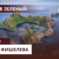 Igor_Fishelev_zelenyi_4a4cfa2f8556881d6