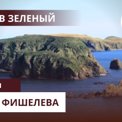 Igor_Fishelev_zelenyi_5429319b94719193d