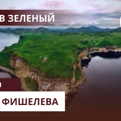 Igor_Fishelev_zelenyi_75562608aff540917