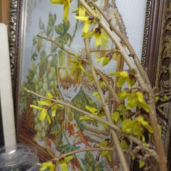 IMG_20251231_003610709b3eb297000ec9