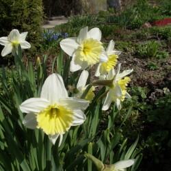 IMGP2514aa9aa0ce93640f3f