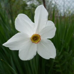 P105020190c66921d514c9fb