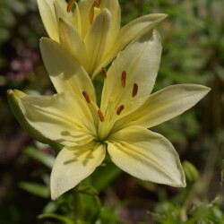 i-4308f44ce7f5e93b5c