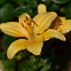 i-527ce4438e08aba4b3