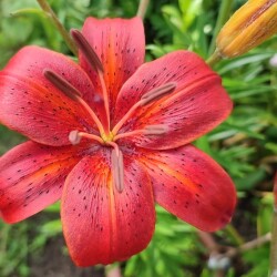 pW53fBwsWVQoBRZ0pplaB6Xkl8QM32J4T3gCmBKh08VgbeN8ZlF7_pSSxzg6iMtxFYou-TtoQy58kXXowStTZwTYaf8bf50d366dbaa2