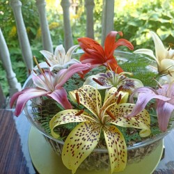 IMG_20250726_09210964a236a375b83b5d