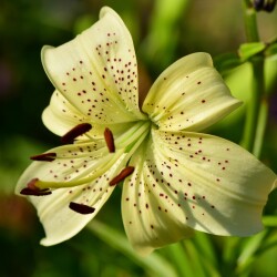 Subu92MApM1bmE1pebFh2-jCAd85Pq91QGKctba3jEJi8jAzJrRyheUGqKT68_gGDVdNAuih4_eL0AcwqPNjeE8Ee1c55e825eb03017