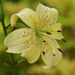 hgB_osYjndBh-8nBOJYwealAxloibqL0C_6WiGRWVee5ckxxJwvW6UGxY9zZNnKa5OEuqLfySKqO0L1qq-RN8sq02c3ca70d9c005237a