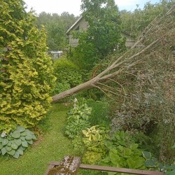 IMG_20250712_101139356b9b535ae2e5f6