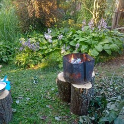 IMG_20250725_190306bb251ac1def27cd8