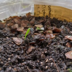 IMG_20250801_092914863cbb344f3334a3