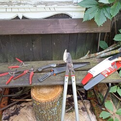 IMG_20250803_0846003f91d16bf4b43b58