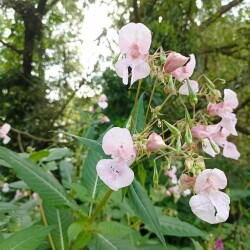 IMG_20250809_0833161c64e40f314c673f