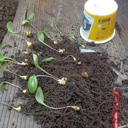 IMG_20250816_165000299cbf21f31f9291