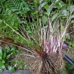 IMG_20250824_130315276787df729e20ce