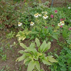 IMG_20250826_122635e203253f6a60f894