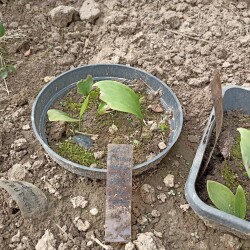 IMG_20250826_12421397a2898ff6cef199