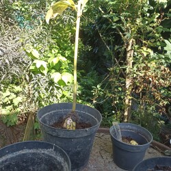 IMG_20250831_15341587a79d7e6cb07731