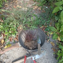 IMG_20250905_120423c63a56e1cdfccf2d