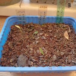 IMG_20250909_1715486b21cabb58e75a5d