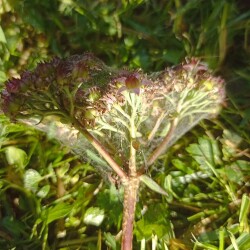 IMG_20250913_163627598aed6e41a3f64f