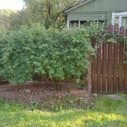 IMG_20250914_160229434c938c848b2ae1