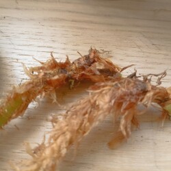 SITIYNIMG_20250610_1546470ca5a43e3fd42d51