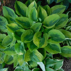 DSCN943051910b018d64946d