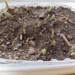 IMG_20250301_14155571340c4129cdfb0f