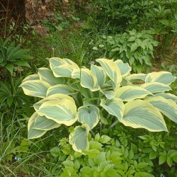 IMG_20250606_1932482df855944198f78a