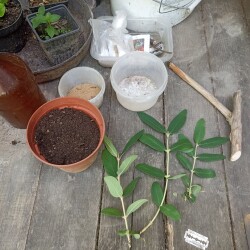 IMG_20250607_0842531811069a2effc23e