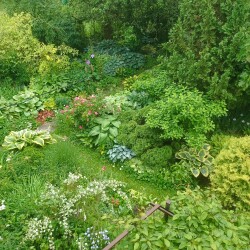 IMG_20250618_114632d3f59c6e76702d01