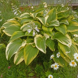 IMG_20250622_06243547f3828de58da593