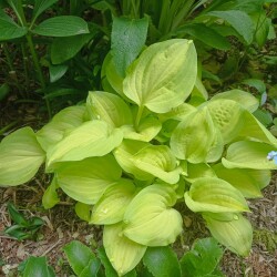 IMG_20250531_0840100d301983d6a93734