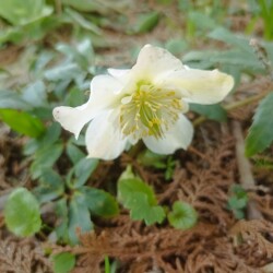 IMG_20250419_0917036d4ca3235770b176