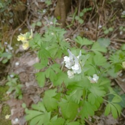 IMG_20250427_13224005dd7d351b86dc2a