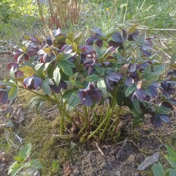 IMG_20250510_1808280e8bb4182a2e537f