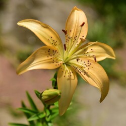 Z7lWi3RXscbVZudy-UedjL_3Ti7msYNTR6M3uoIfZxBSd1gPw4E1lH62MqPXbj6z8j0Fi120zvLsSz8hid6RmiUAc35beec3f67e0d74