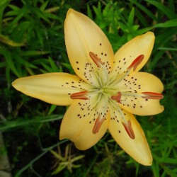 b58JOXox4CYbTXFhi4kMvP2OJYkXYHQkHLBeEYmNIGPaTAc0ivupSbylL8h9dcUVX1iDHAjRXyP7UT-oRskv0bJP7bc0816b2a84dc3f